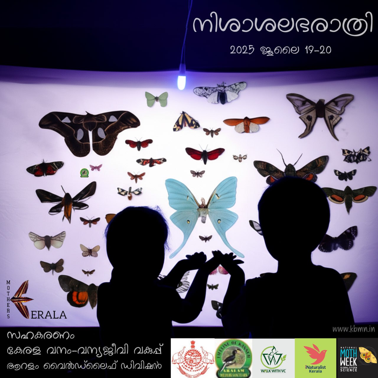 moth night aralam